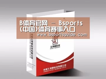 项目名称十三