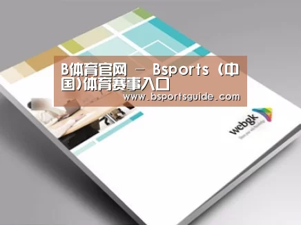 项目名称九