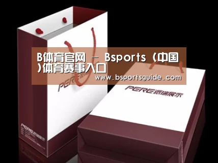 项目名称十二