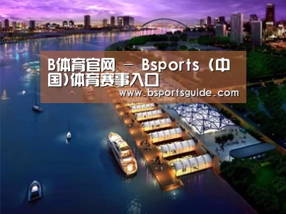 案例展示八