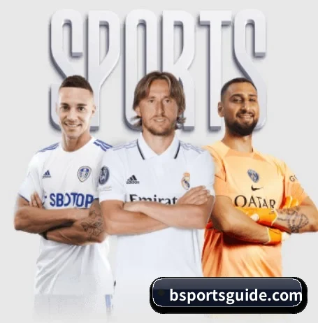 bsport APP 界面