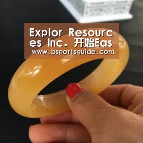 Explor Resources Inc. 开始East Bay矿产勘查项目【bsport官网】(图1) bsport官网