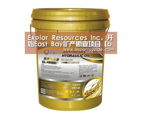 Explor Resources Inc. 开始East Bay矿产勘查项目【bsport官网】(图4) bsport官网